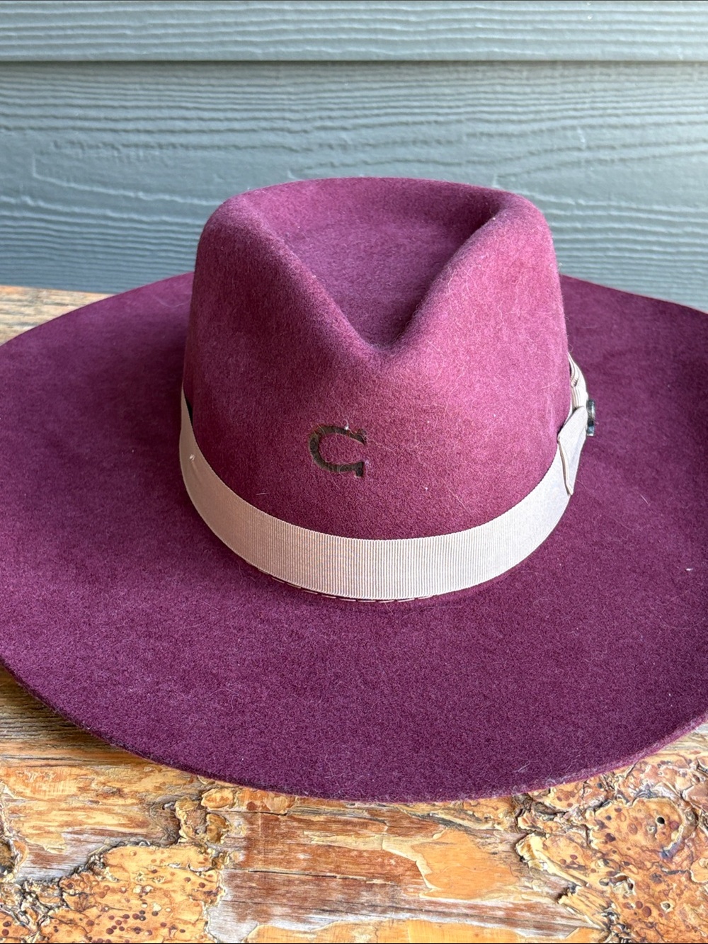 Charlie Horse Hat